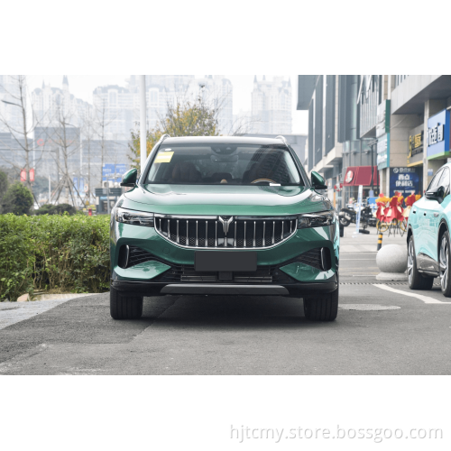 Vendita calda Voyah Hybrid Free Hybrid Carro Electrico Voiture VEICOLO ELETTRICO VEICOLO DI LUGO ALTA SPECIA VOYAH EV SUV Carros